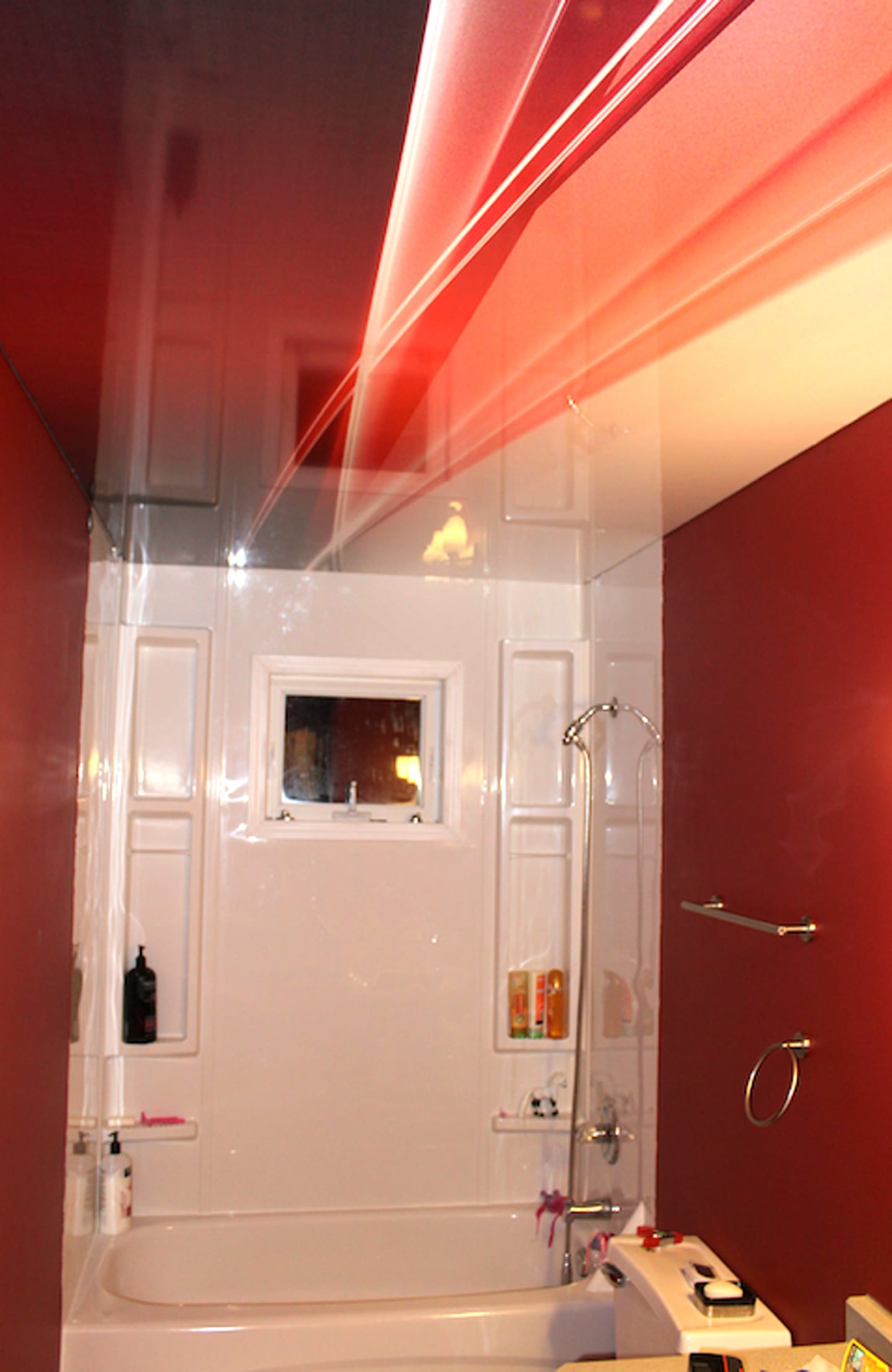 Ants Bathroom Best Paint For Bathrooms With Humidity Wood Floor Colors Cover Bathroom Tile