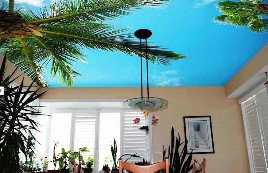 CEILTRIM CND Photo Ceiling - Palm Tree